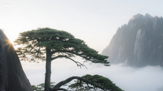 洛阳理工学院副校长韩洪涛教授病逝，年仅60岁