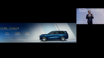 長安汽車張曉宇：未來單一動力且批量小的品牌可能被關停并轉