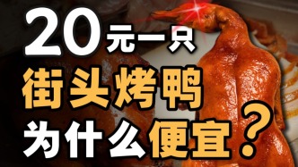 25天出栏，20元出售：拆解街头烤鸭产业链