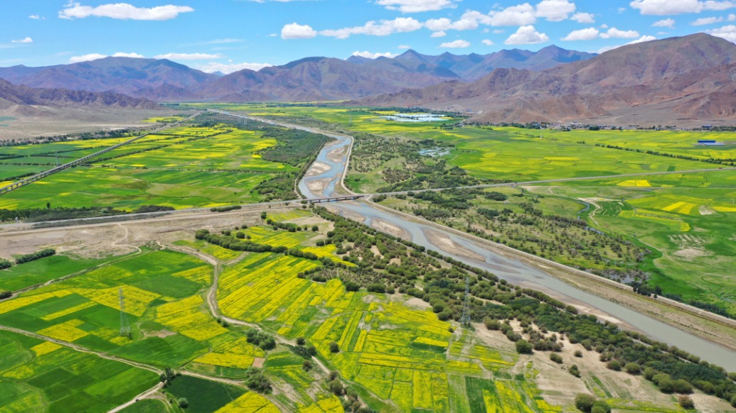 西藏江萨国家湿地公园试点建设九年显成效：黑鹳首现，候鸟变留鸟