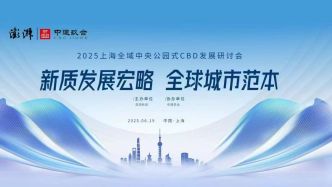 新质发展宏略·全球城市范本——2025上海全域中央公园式CBD发展研讨会