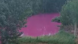 洛陽馬屯村出現(xiàn)粉色水塘，官方回應(yīng)：對河道兩岸企業(yè)進(jìn)行排查