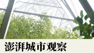 調(diào)研綠色供應(yīng)鏈管理：建好本土數(shù)據(jù)庫并尋求國際互認