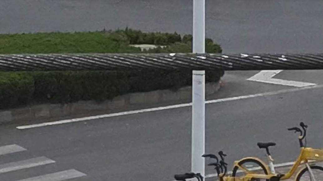 高壓線下搬運(yùn)超高樹(shù)木致輸電線路跳閘,武漢一挖掘機(jī)司機(jī)被拘