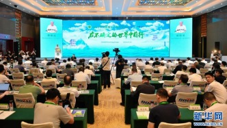 从“不确定”中寻找“确定” ，安义铝型材产业的破局之道