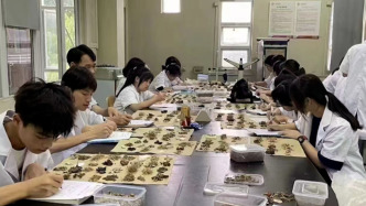 文科生能学医了，多所高校中医学类专业招生不限选考科目