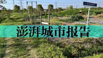 周勝：圍繞綠色技術推廣調整既有農業補貼