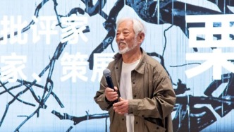 专访 | 栗宪庭：艺术应刺痛麻木
