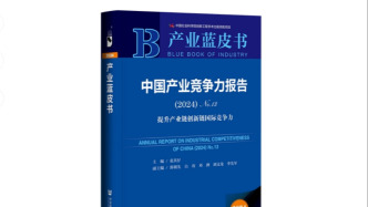 藍(lán)皮書：國產(chǎn)化已成為基礎(chǔ)軟件市場的主基調(diào)