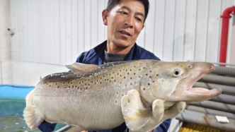 西藏亚东：上海技术让牧民发了“鱼”财