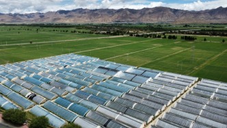 西藏彭仓村：“棚”勃发展，村民实现蔬菜自由