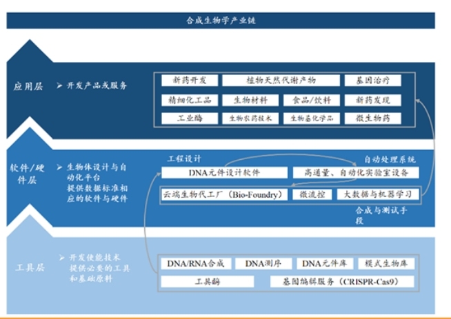 又有国内药企加码合成生物学,千亿赛道到底有何吸引力? 第2张 又有国内药企加码合成生物学,千亿赛道到底有何吸引力? 第2张