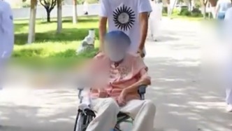 西安一醫(yī)院給人移植豬腎存活超100天