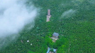 嶧州印象 | 青檀寺十六景