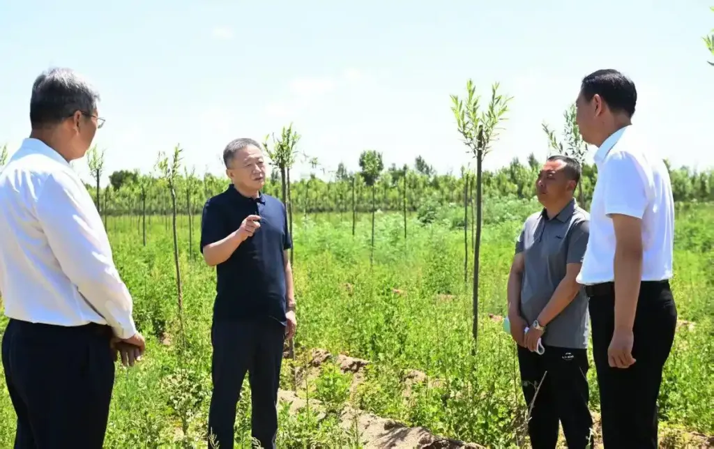 中央生态环保督察组通报通辽市问题，孙绍骋直奔现场督导整改