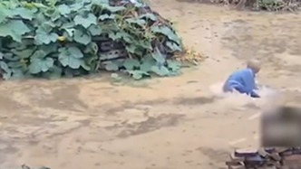 老人摔倒在水中民警未搀扶？河南太康警方：涉事两人被处理