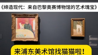 “闯入”浦东美术馆的小猫，你找到了吗
