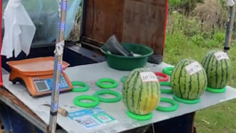 夫妻经营无人瓜摊6年0逃单