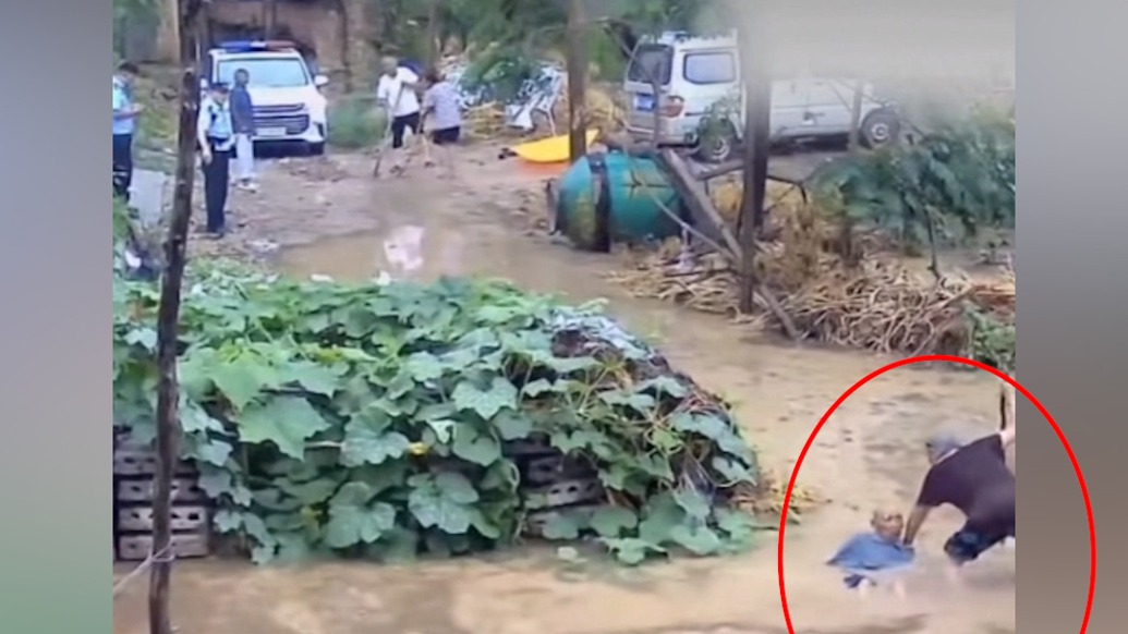 老人摔倒民警在旁不扶？河南太康縣公安局：涉事教導(dǎo)員被免職