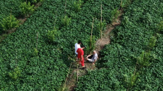 85岁老人走失1夜，救援队利用无人机寻回