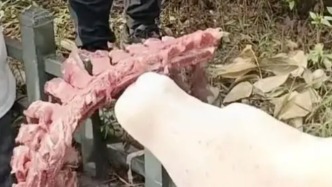 四川自贡一小学被曝使用发臭猪肉，官方通报：已封存，正在检测