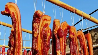 識味順德︱百味不舍肆意坊間的順德燒臘（下）