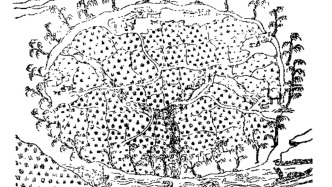 馮賢亮：明代江南地方的基層管理系統