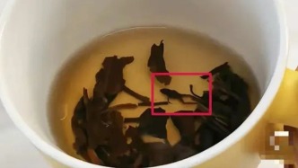 奈雪的茶被指喝出青蛙，公司回應(yīng)：已和消費者協(xié)商處理完畢
