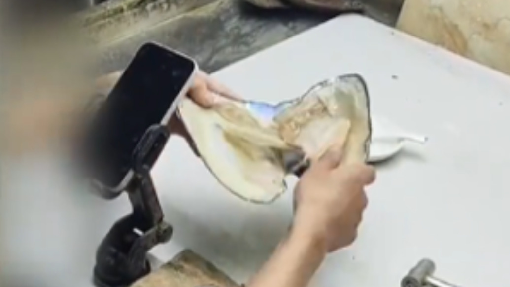 央视揭开直播间开蚌取珠套路，号称现场取珠实则提前放入