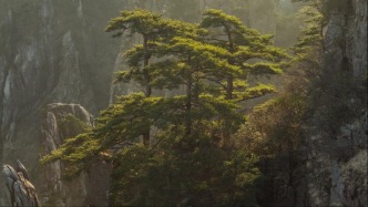 88歲香港著名武術指導黃唐（藝名唐佳）墜亡