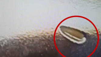 吃鱼生发现酱油瓶内活蛆挂壁，餐厅经理：存储不当所致，已补偿顾客