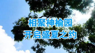 扶余：相聚神榆园开启盛夏之约