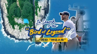 跨越国界的守护：首批“外籍观察官”登岛做保护中华凤头燕鸥志愿者