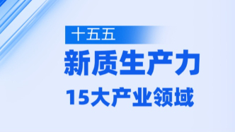 “十五五”聚焦新质生产力，看好15个战略新兴和未来产业