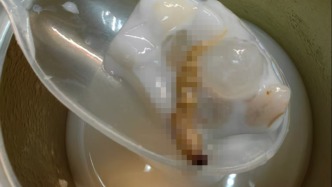 消费者称椰奶罐头吃出虫子，天猫及林家铺子旗舰店退款并赔偿