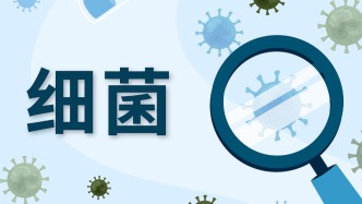 這種“細(xì)菌”竟能在冰箱肆意生長(zhǎng)！“專盯”孕婦、老人、免疫低下人群