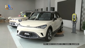 26万买限量版Smart：蓝牙失灵锁车难，空调漏水能养鱼