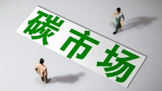 圓桌｜新碳信用標準通過后，全球碳市場的“夢想”會實現(xiàn)嗎？