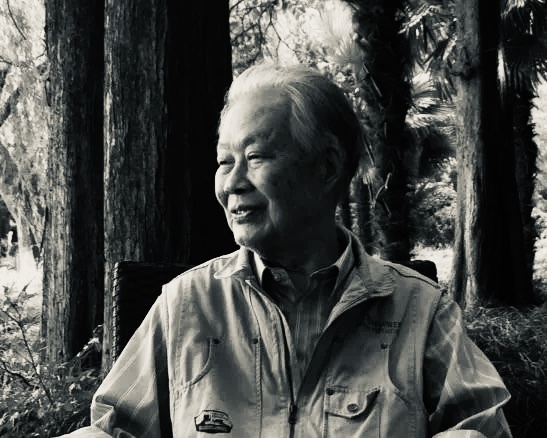 纪念｜“一条线”里的水墨实践，朱颖人画展举行