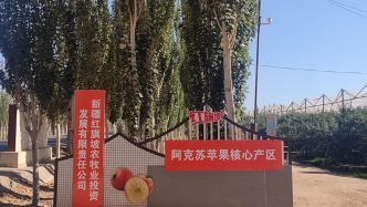 感知幸福中國新疆行｜探訪阿克蘇蘋果核心區(qū)：年產(chǎn)近20萬噸蘋果背后的農(nóng)業(yè)科技