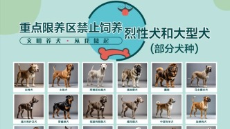 西安警方回應(yīng)“中華田園犬禁養(yǎng)”：并非所有中華田園犬都禁養(yǎng)