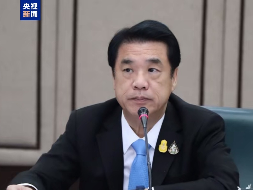 泰国副总理出任看守总理