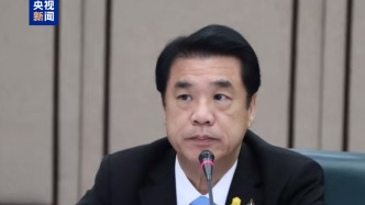 泰國副總理出任看守總理