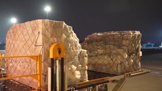 今年上半年，我国新开国际航空货运航线117条