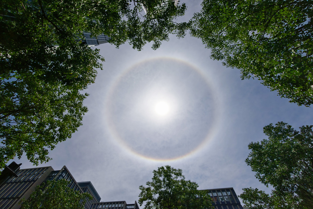 城事·战高温 | 太阳自带光环！今天你拍到“日晕”了吗？