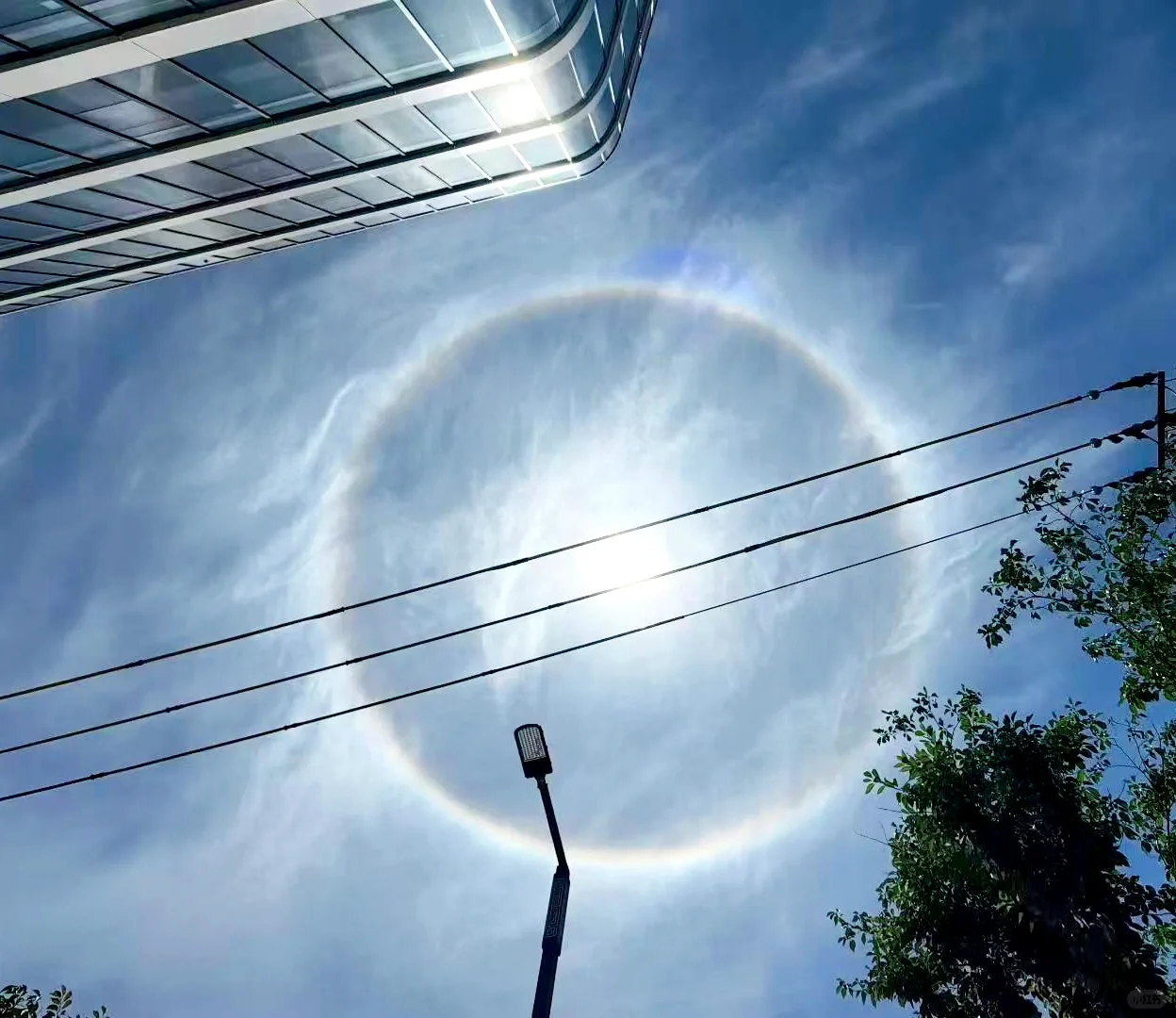 城事·战高温 | 太阳自带光环！今天你拍到“日晕”了吗？ 第3张