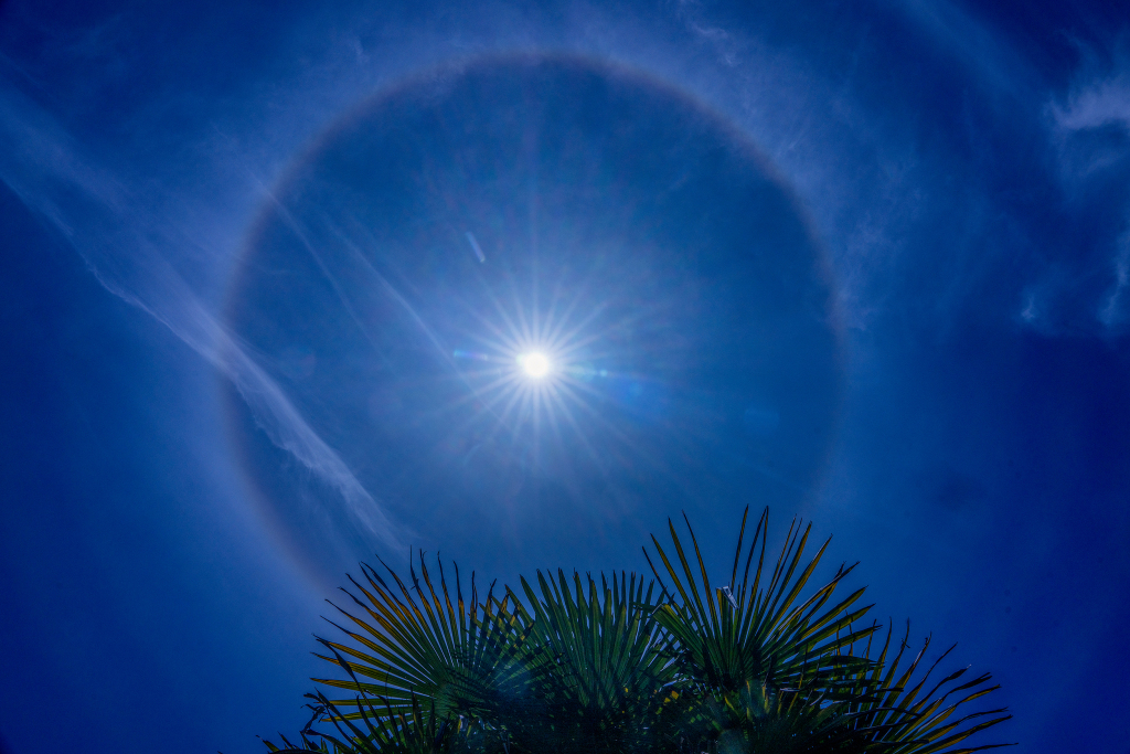 城事·战高温 | 太阳自带光环！今天你拍到“日晕”了吗？ 第6张