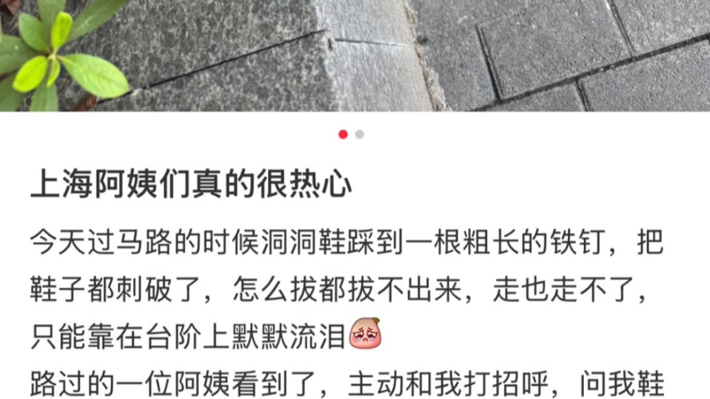 “热心”是上海的名片,女生分享被上海阿姨帮助的故事,网友纷纷晒出暖心回忆