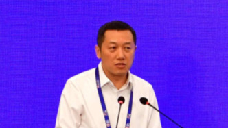 国家信息中心大数据发展部主任于施洋任上被查