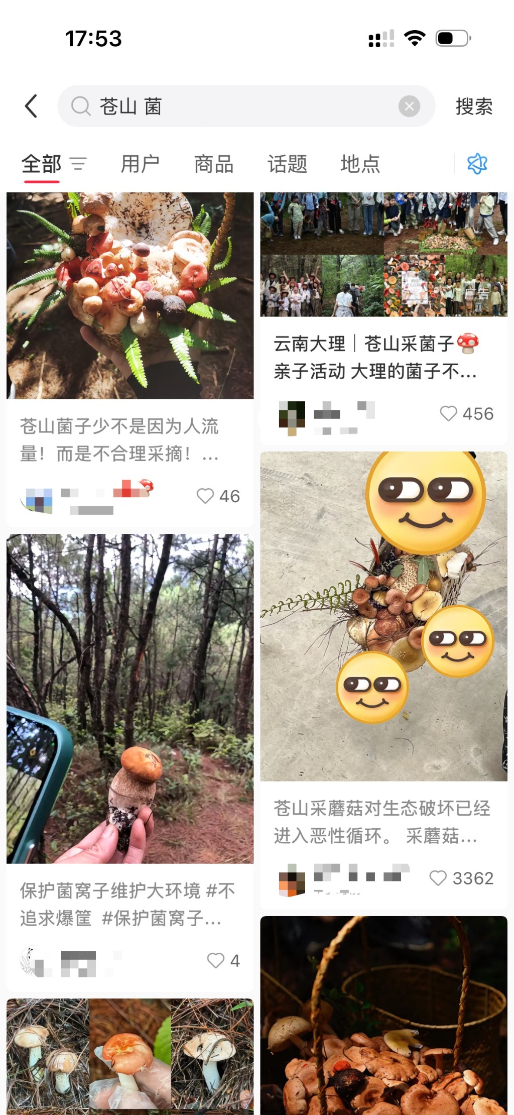 大理苍山野生菌被指遭游客掠夺式采摘：有人“掘地三尺找菌子”，官方称将加强巡护